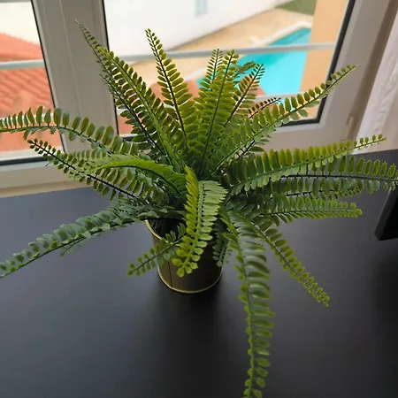 Seaside Escape Эрисейра