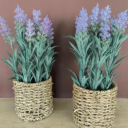 דירה Seaside Escape